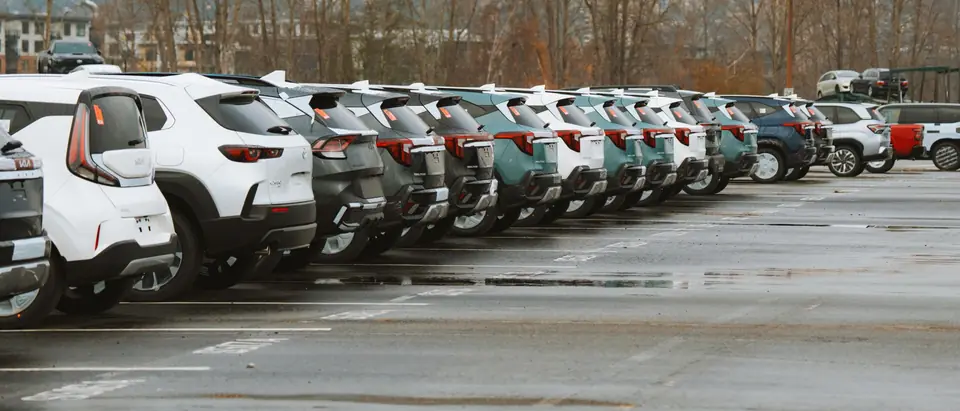 A row of SUVs parked in a lot, their rear windows facing the camera